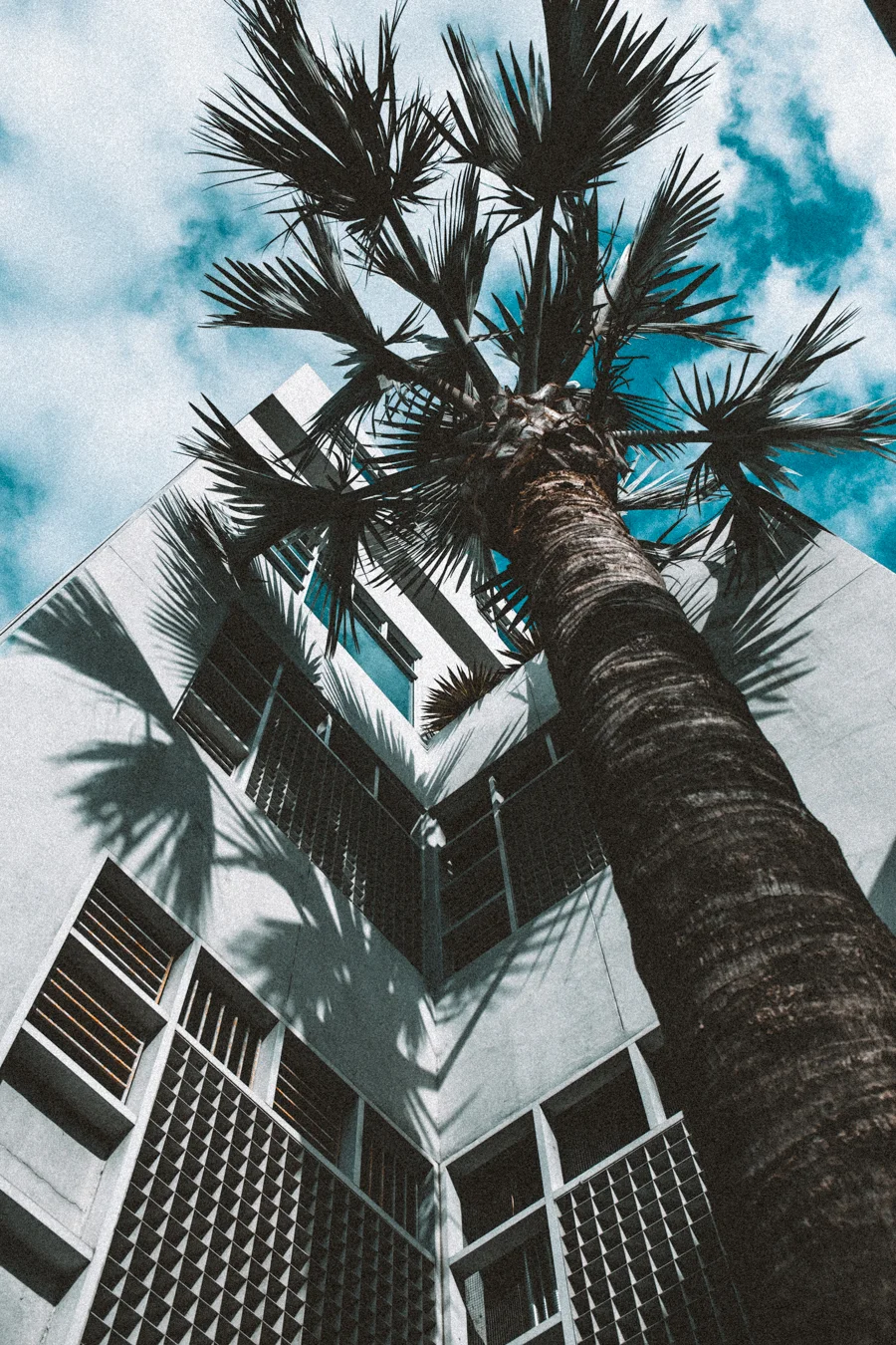miami stuff y.jpg