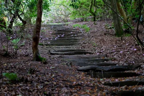 3rd Prize winner, photo taken by Corinna Hardware