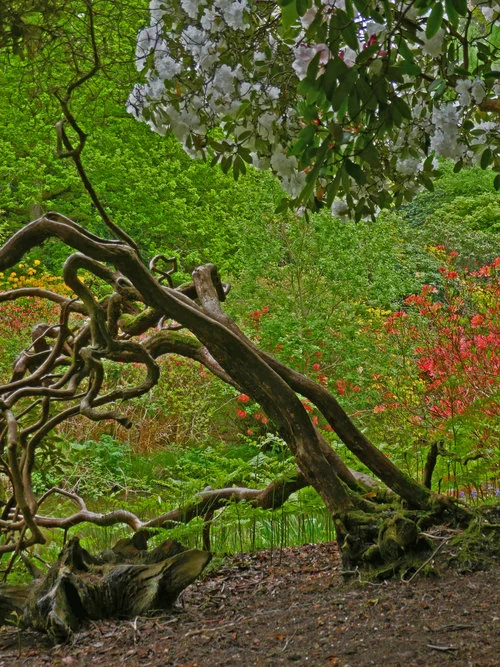 3rd Prize winner, photo taken by Trudie Mitchell