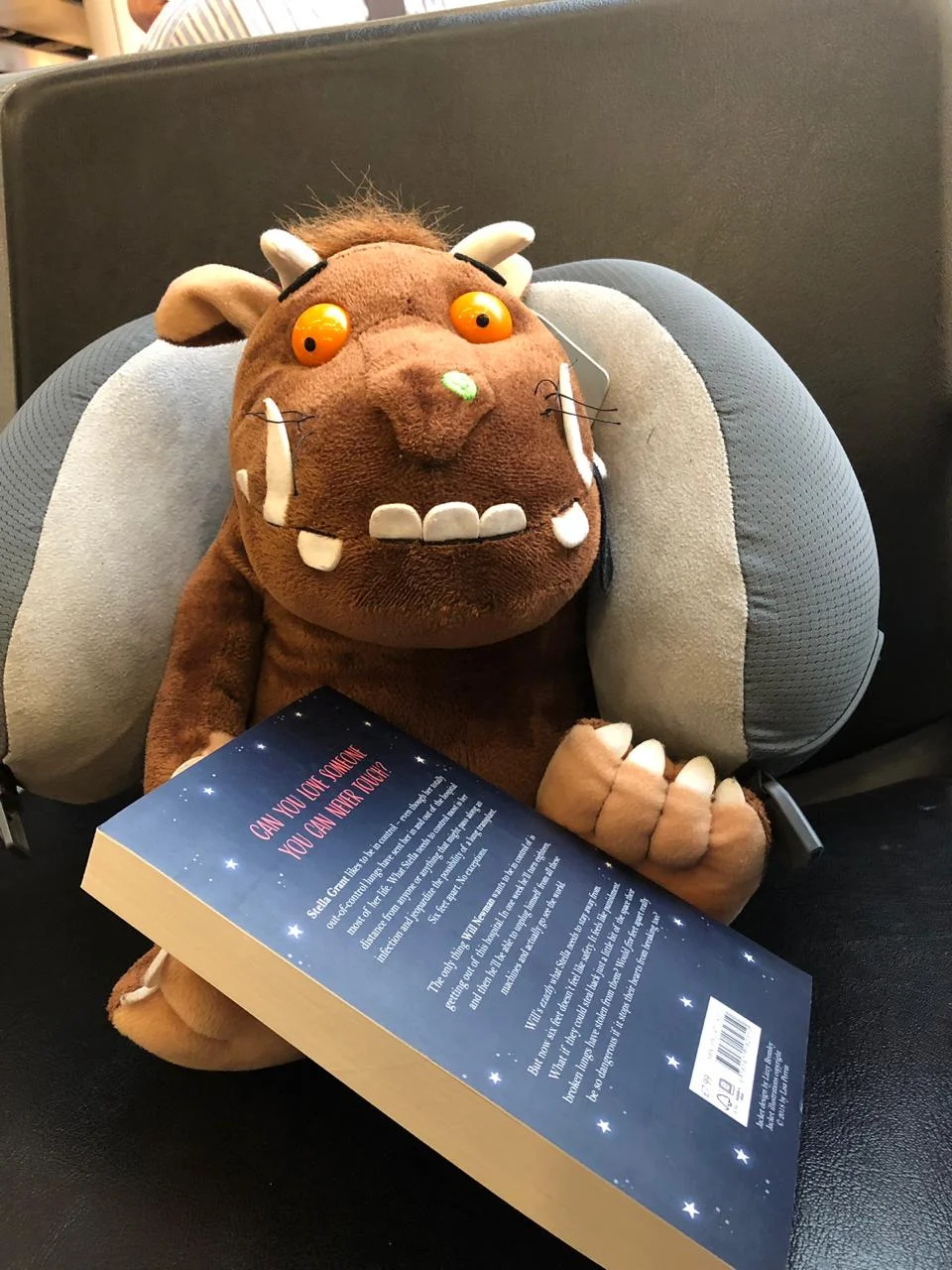 Gruffalo en route Cape Town.jpeg