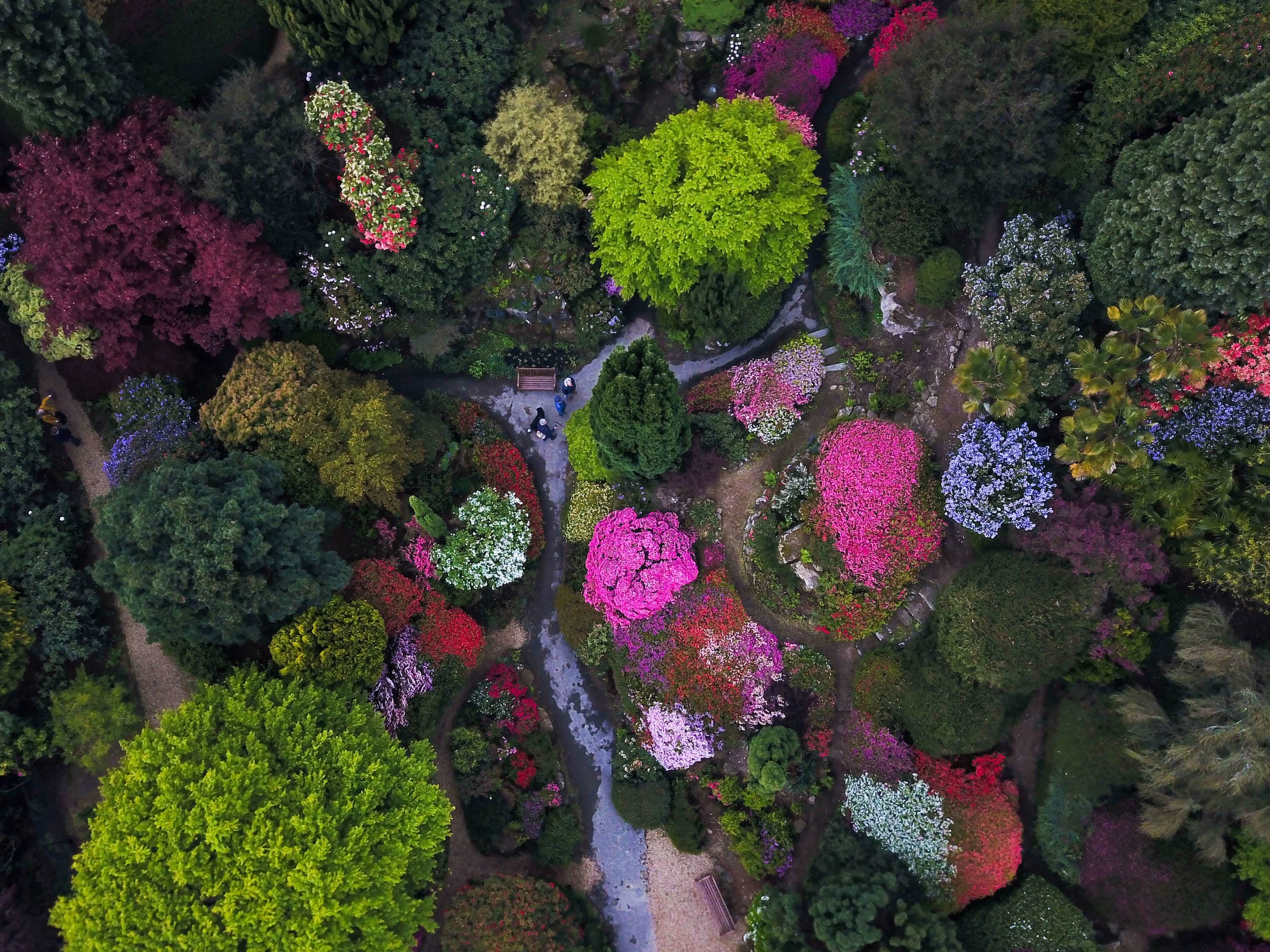 DJI_0018(2).jpg