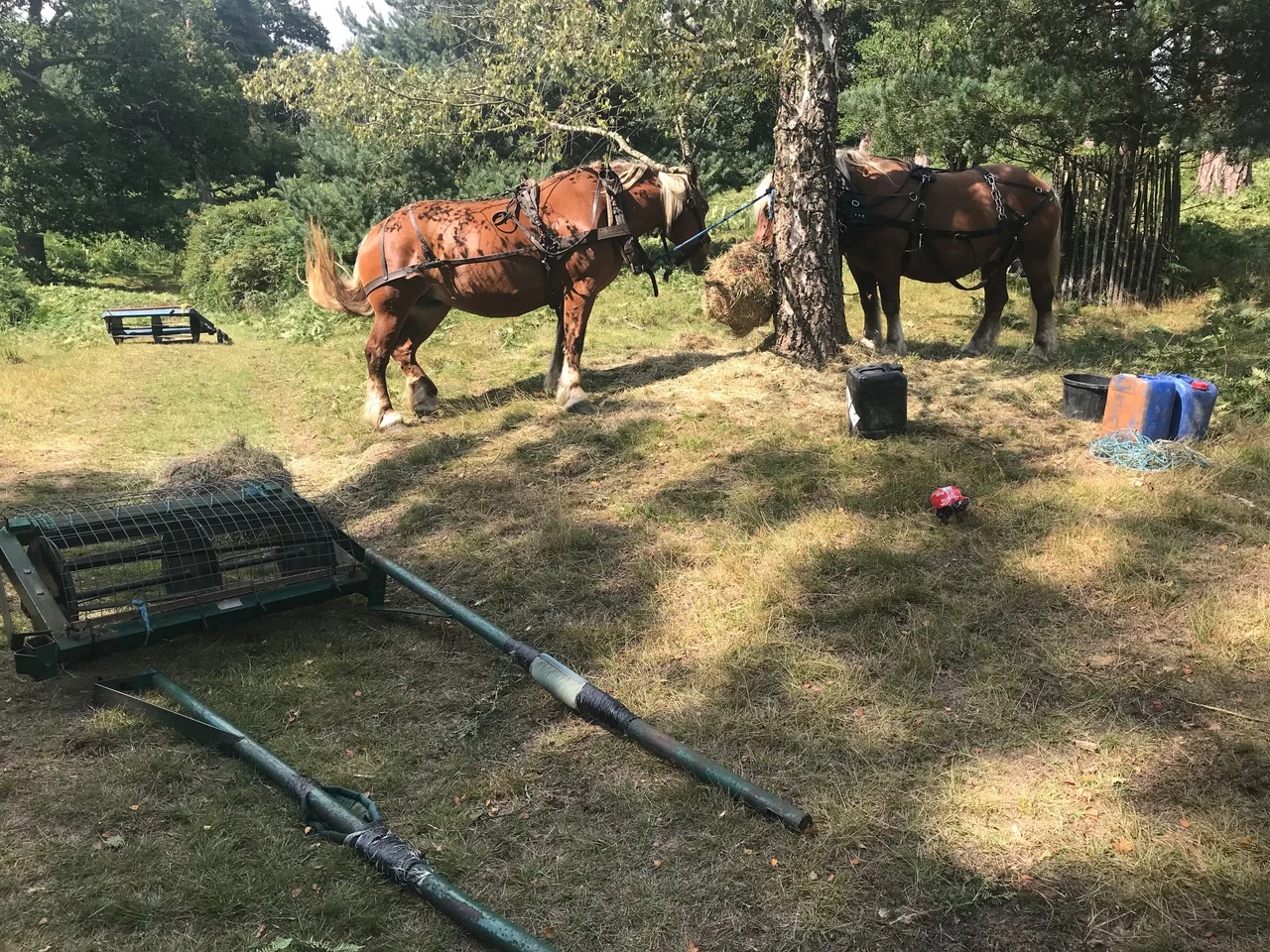 Gardens near me Horse work.jpg