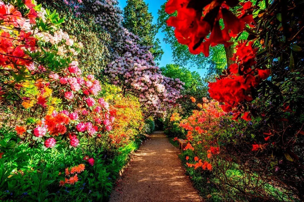 Spring