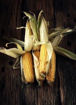 Sweetcorn-Small-Solo.jpeg