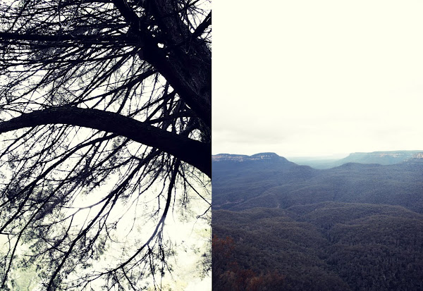 treemtnduo.jpeg