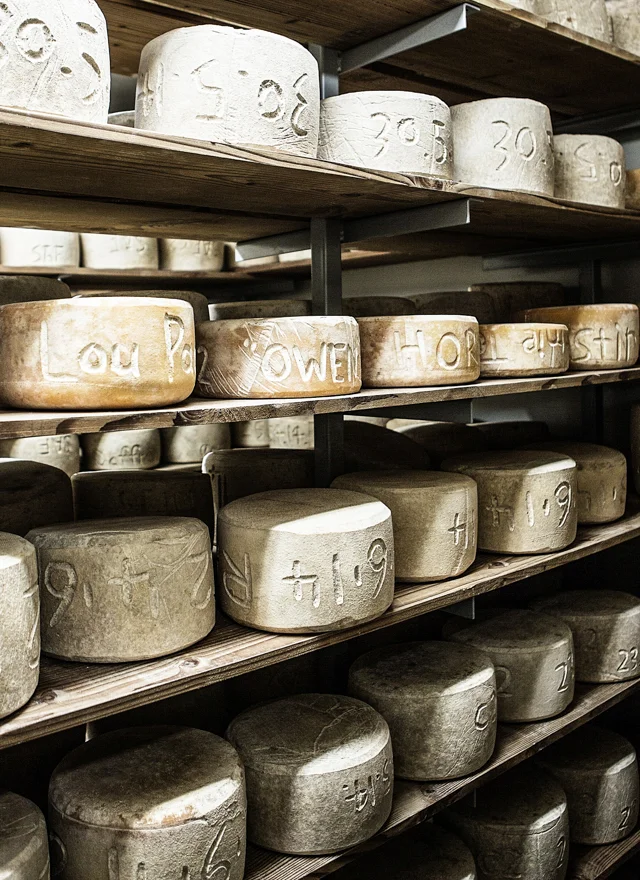 DAY 2 BRUNY ISLAND CHEESE-10