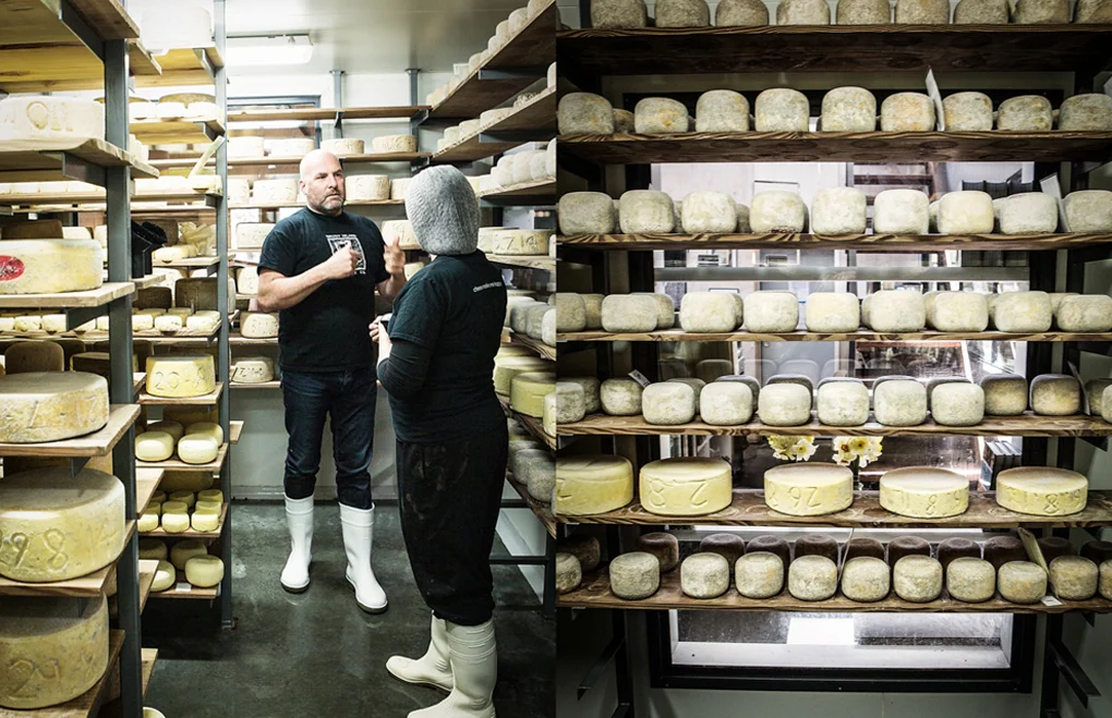 DAY 2 BRUNY ISLAND CHEESE-15