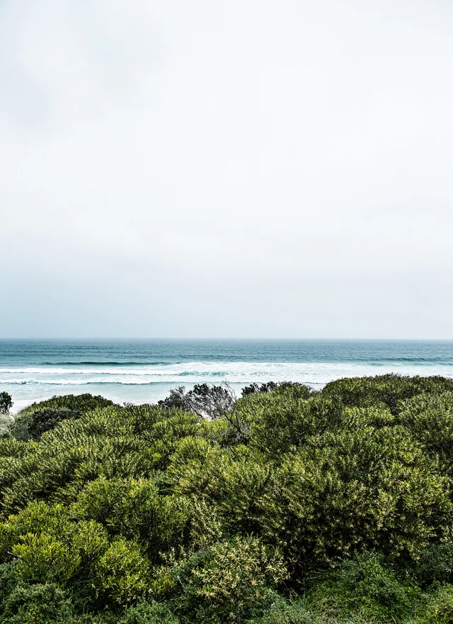 DAY 2 BRUNY ISLAND CHEESE-21
