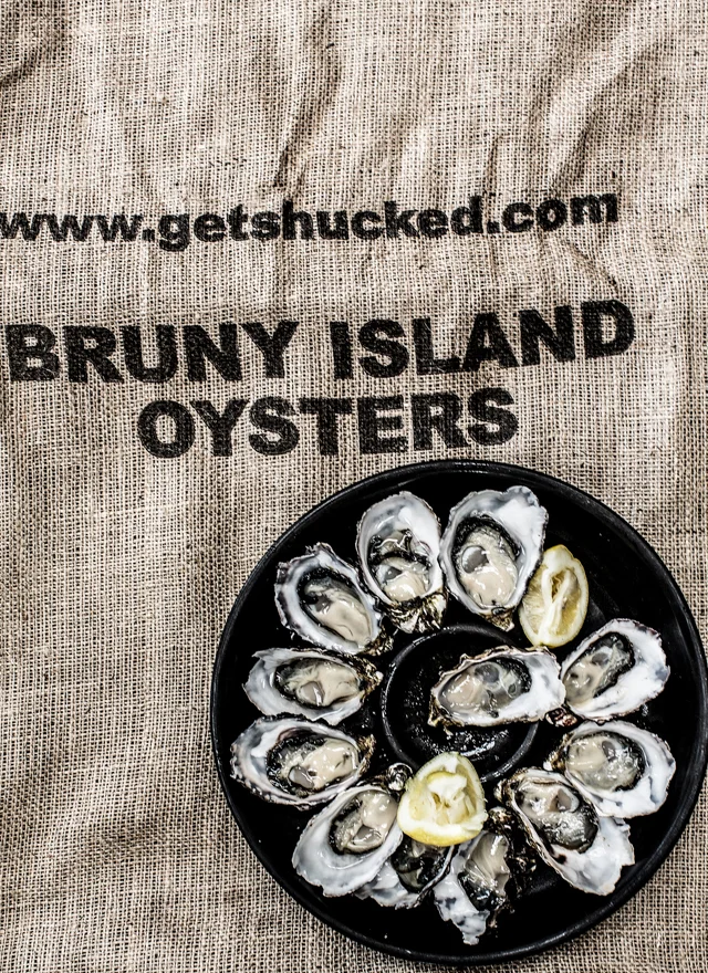 DAY 2 OYSTERS-1