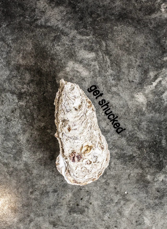 DAY 2 OYSTERS-3