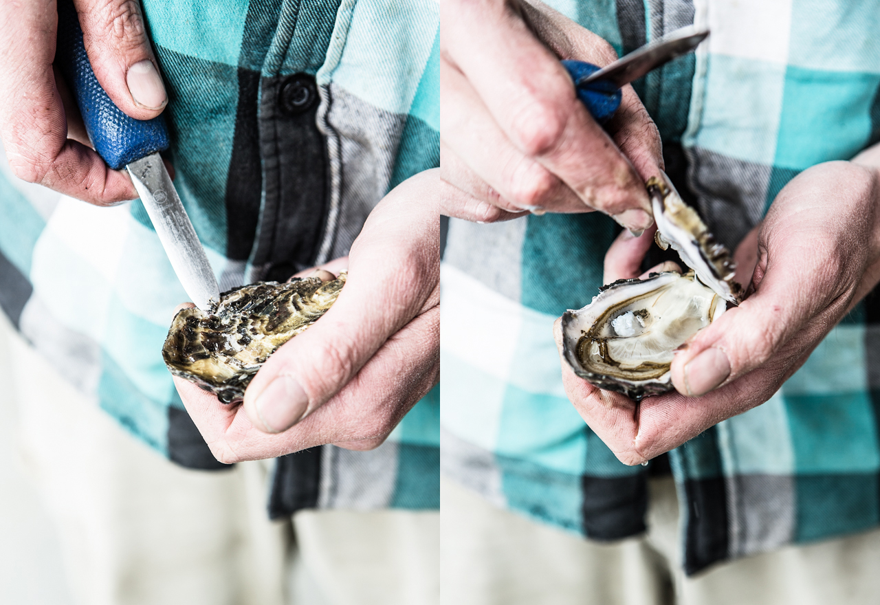 DAY 2 OYSTERS 5