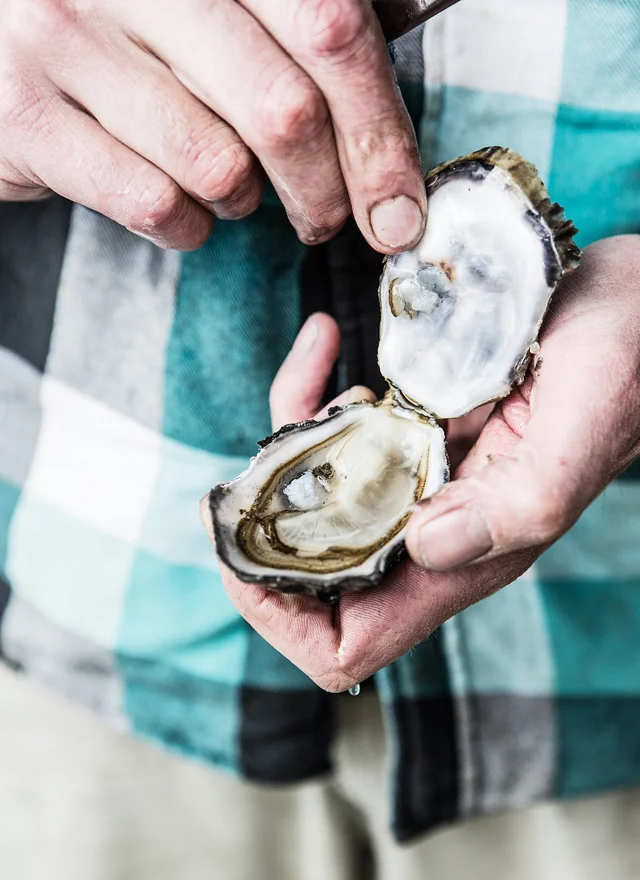 DAY 2 OYSTERS-6