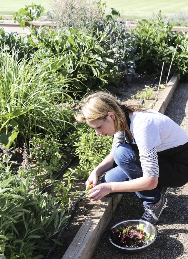 WKA_JC_KATIE GARDEN 2