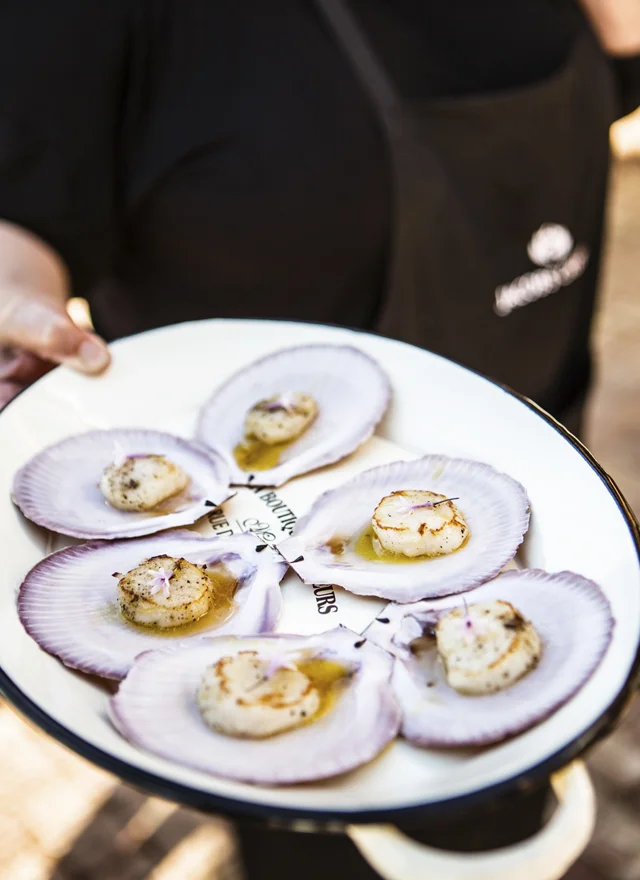WKA_JC_SCALLOPS