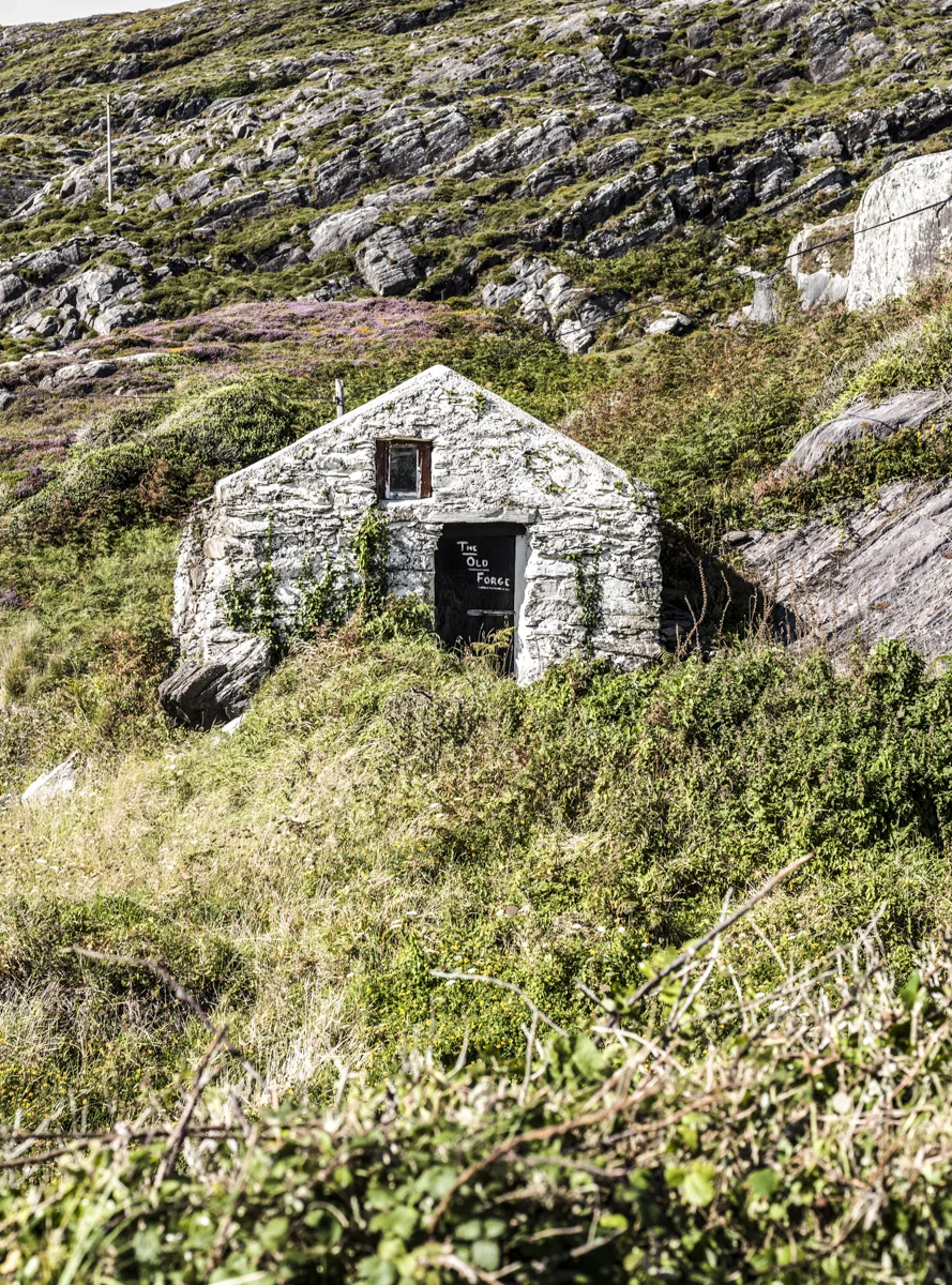 IRELAND (31 of 141).jpg