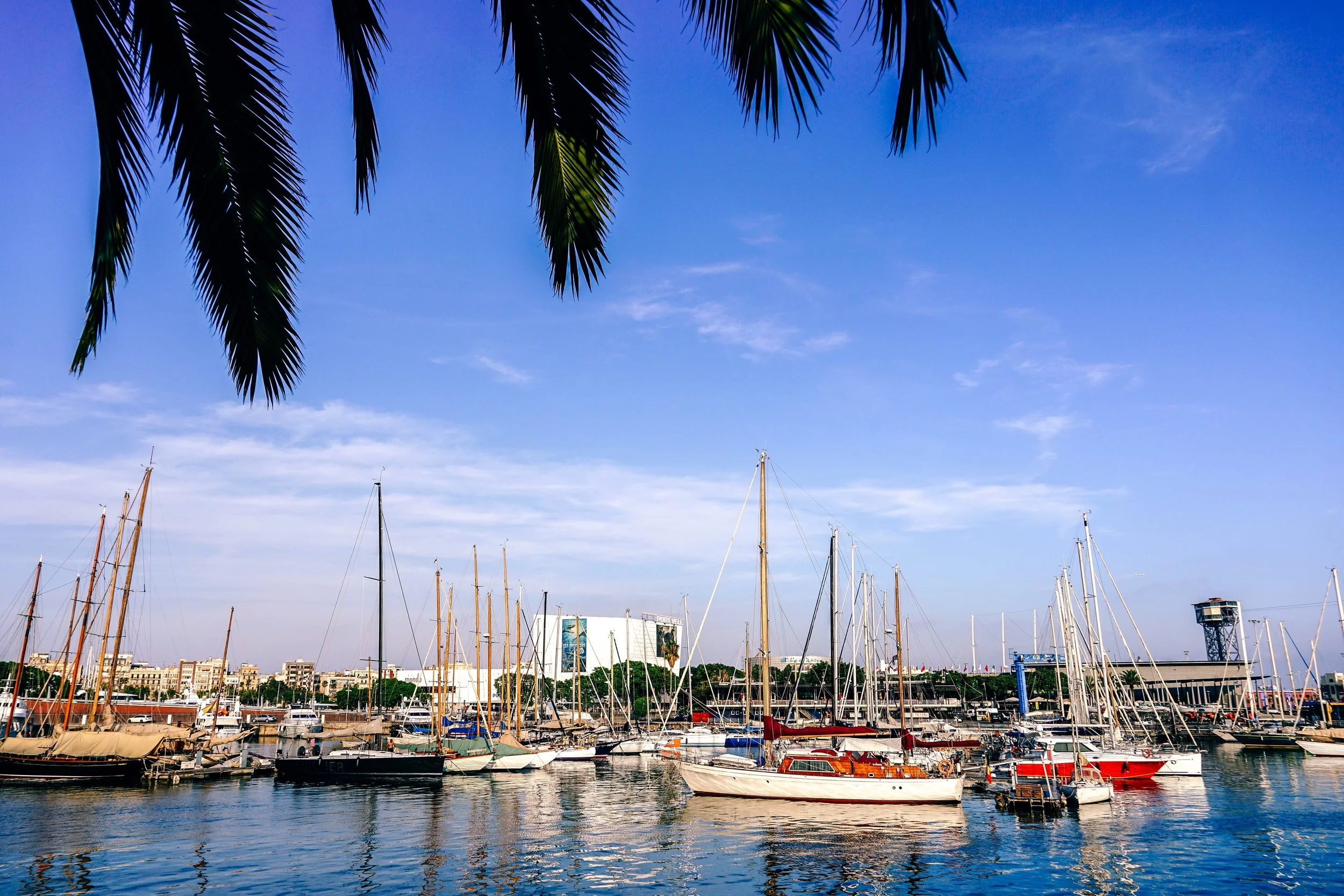adventure-bay-beach-290610.jpg
