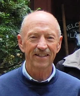 Fritz Steel , Ph.D. Fritz Steele is a professional consultant working primarily in the areas of organizational change, organizational culture and organizational ecology (workplace strategy and development). Fritz Steele Consultants