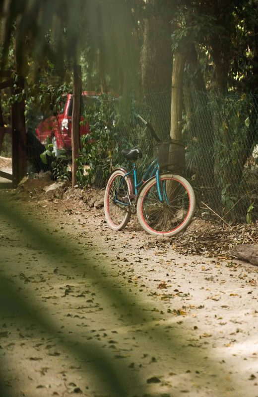 ASHTANGA YOGA MEXICO RETREAT BICI.png