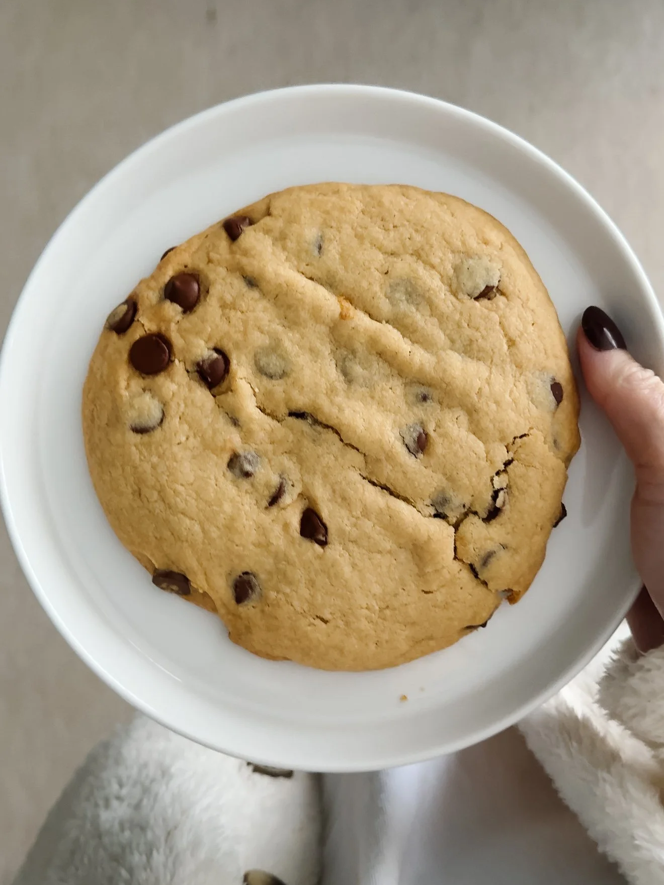 Single Large Sourdough Chocolate Chip Cookie