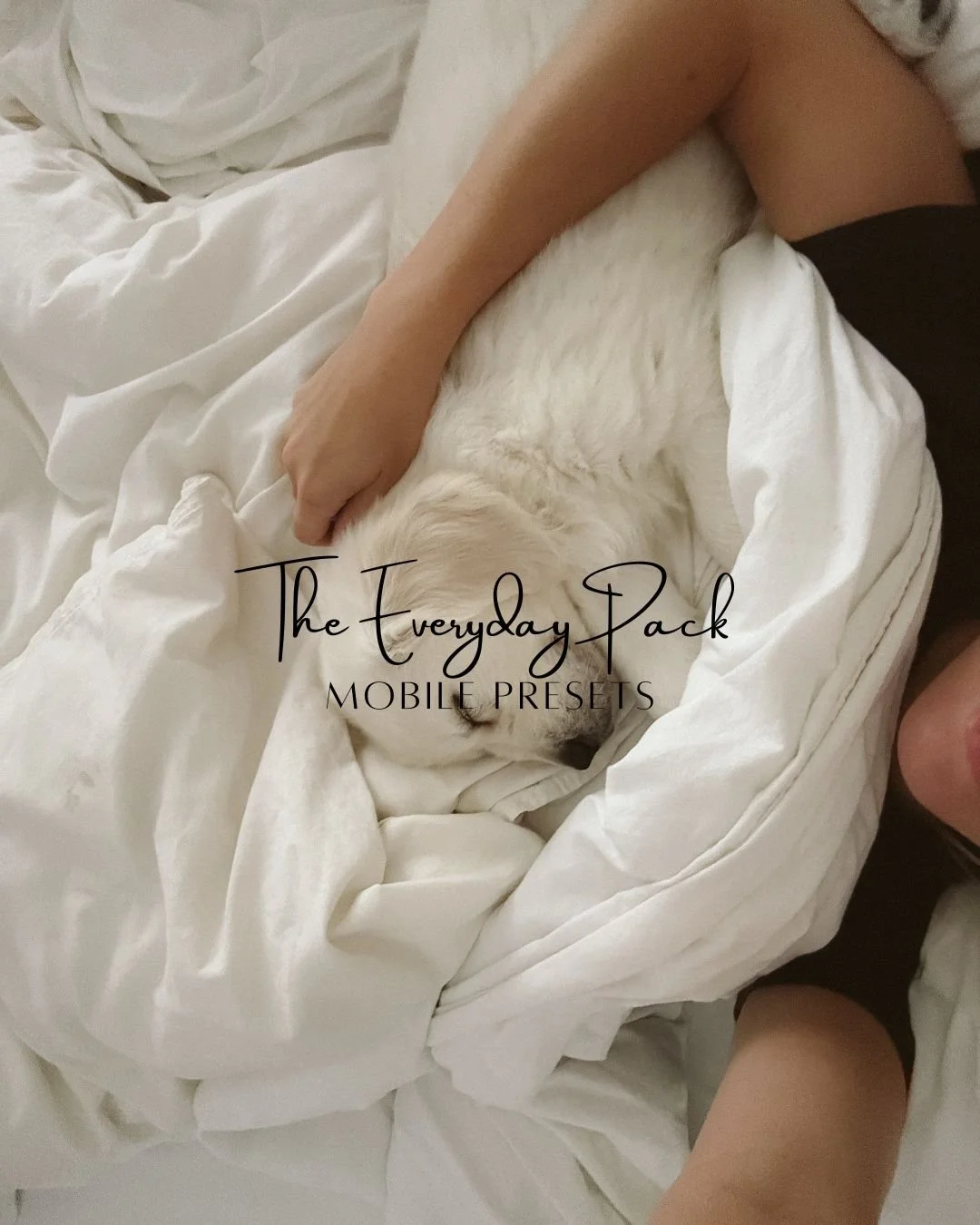 The Everyday Preset Pack