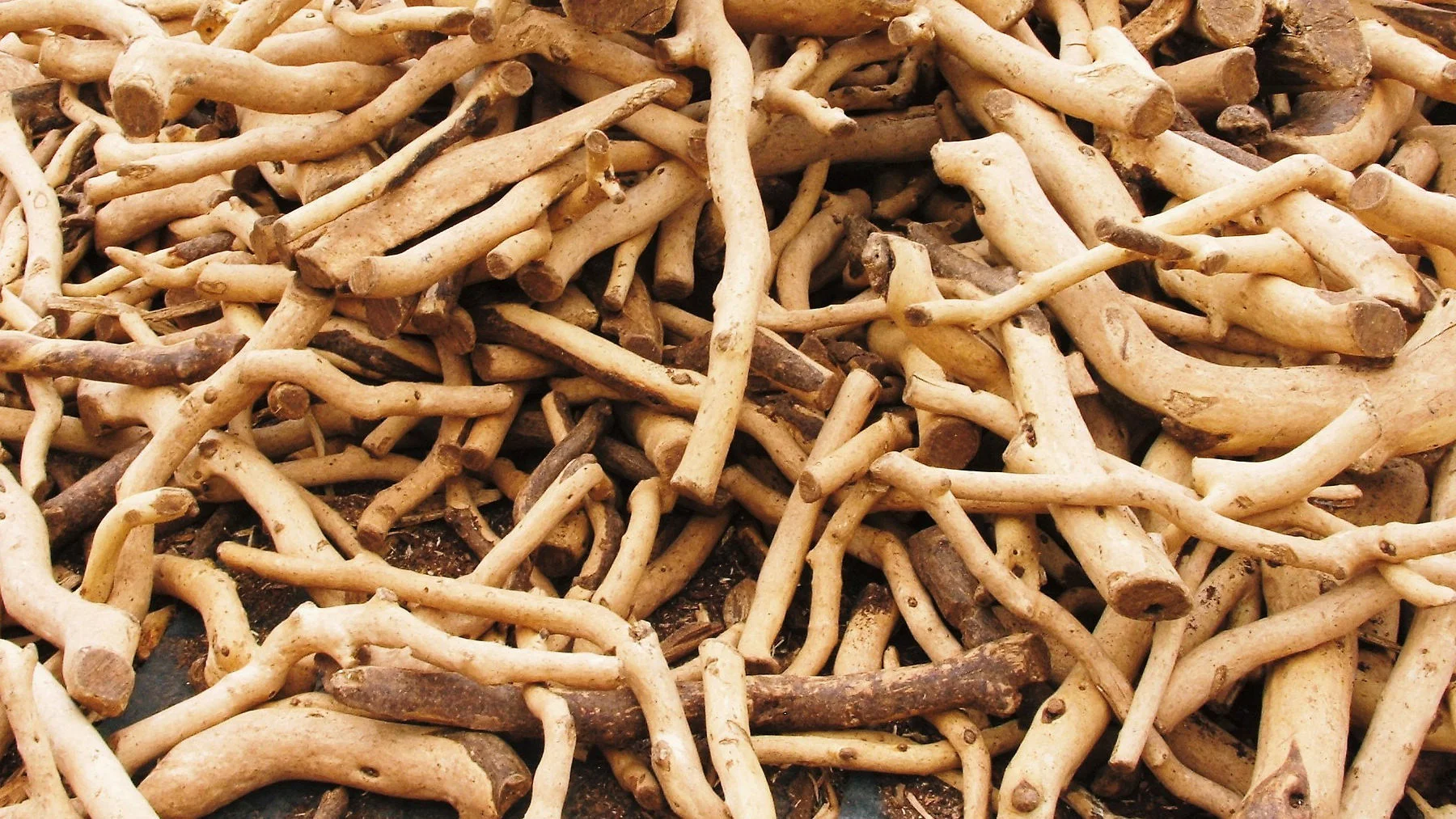 Sandalwood Shea Butter