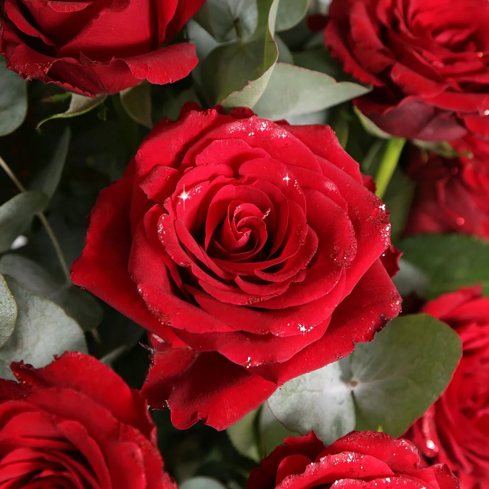 Somali Rose Black Soap