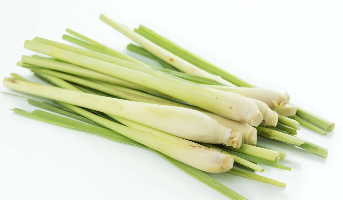 lemongrass2.jpg