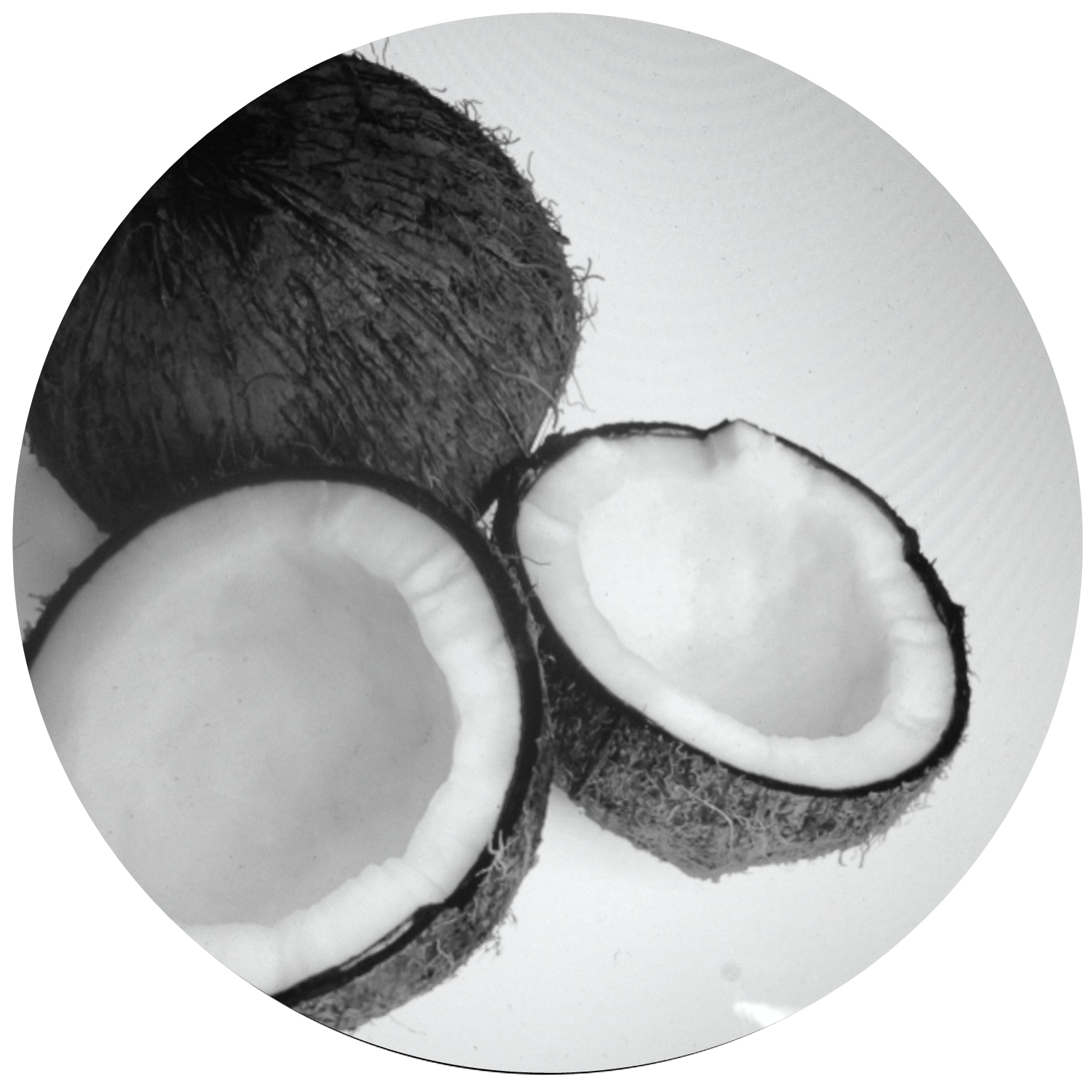 blk coco.png
