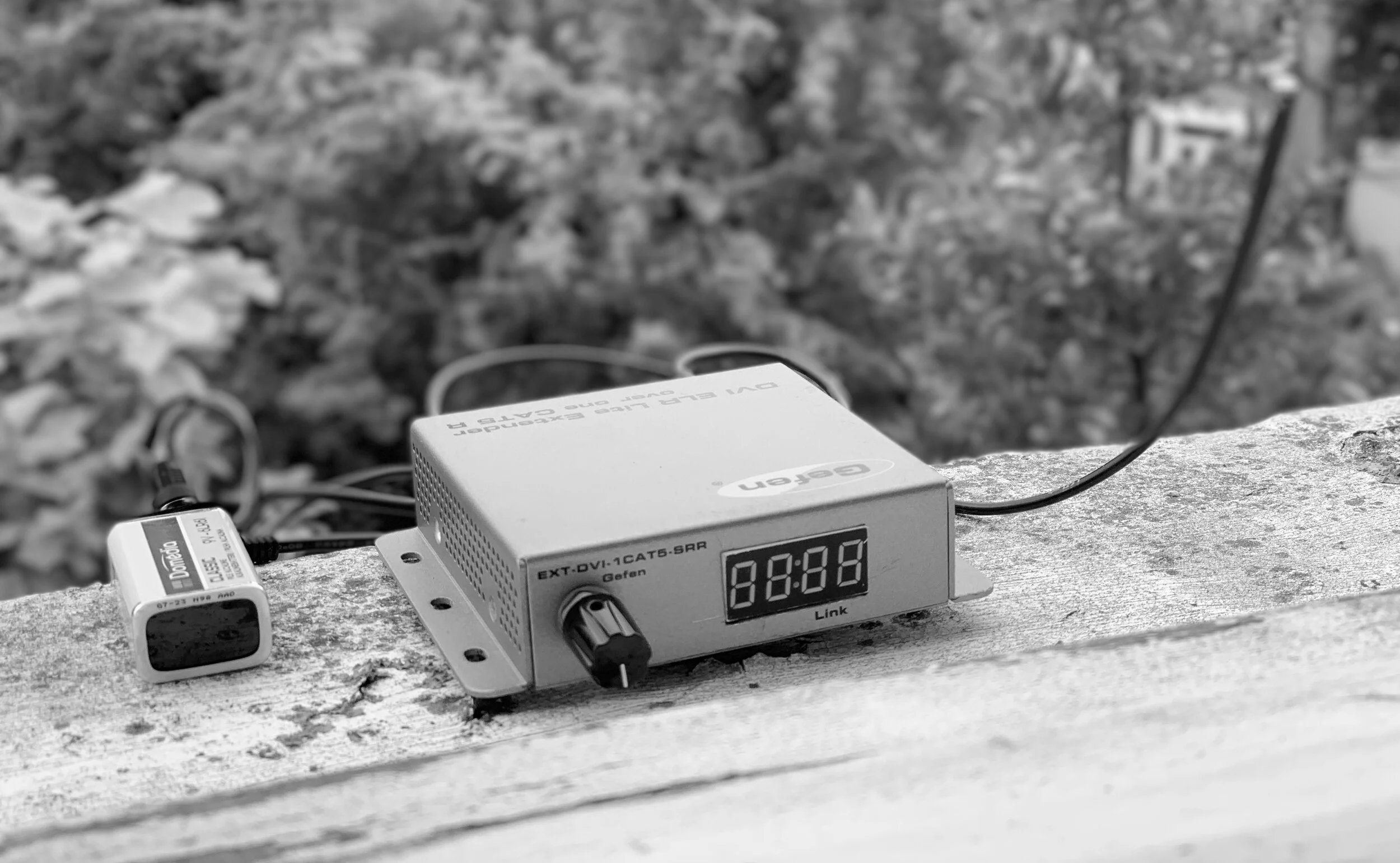 IMG_1029 bw.jpg