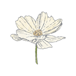 Summer-150px.png
