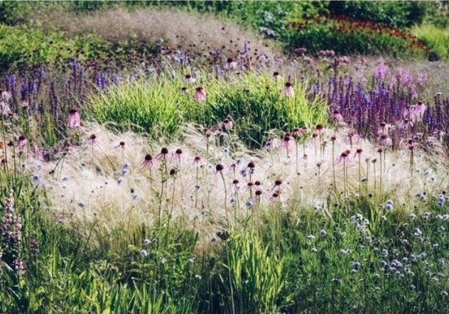 Late summer planting at Turn End.