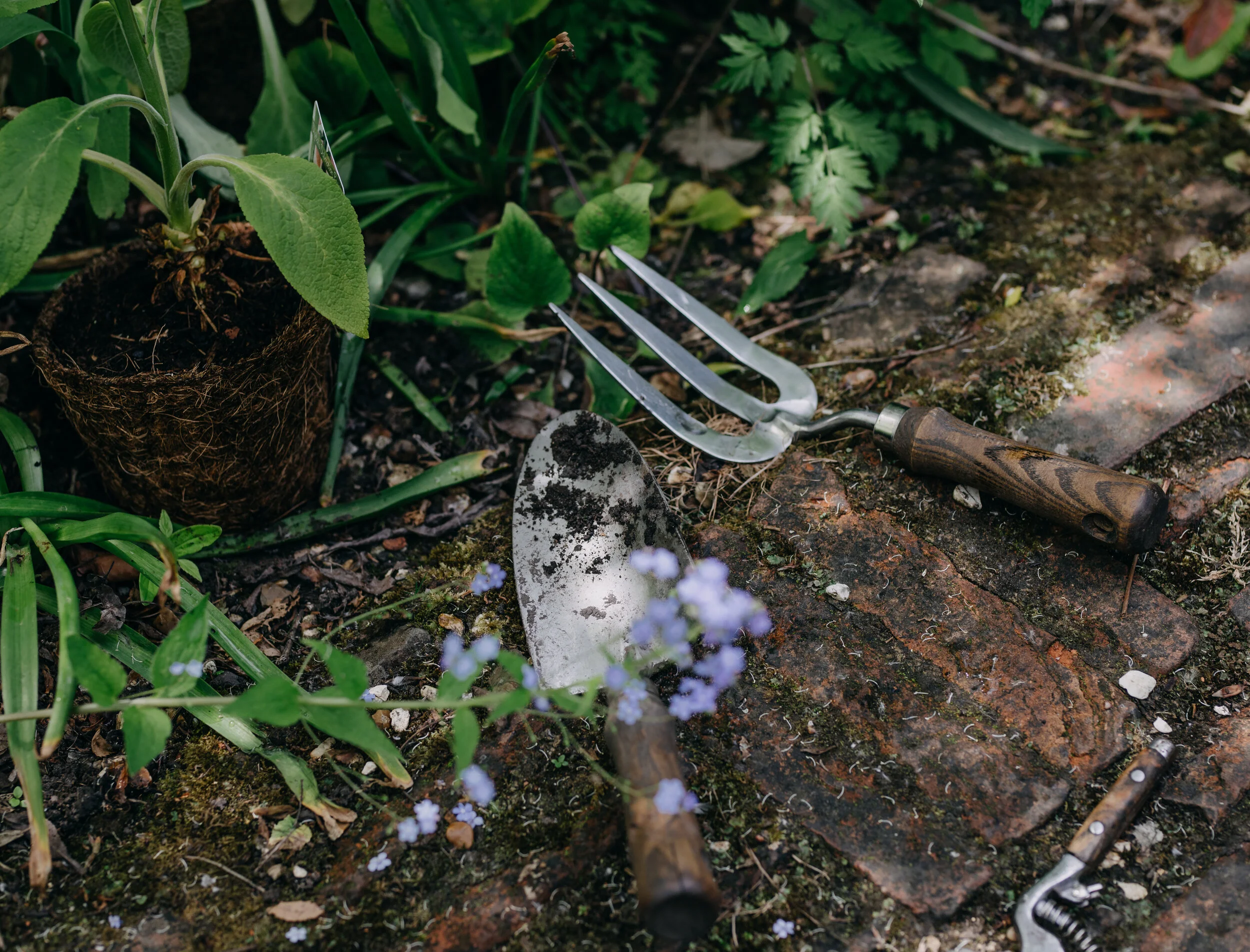 tools - cropped.jpeg
