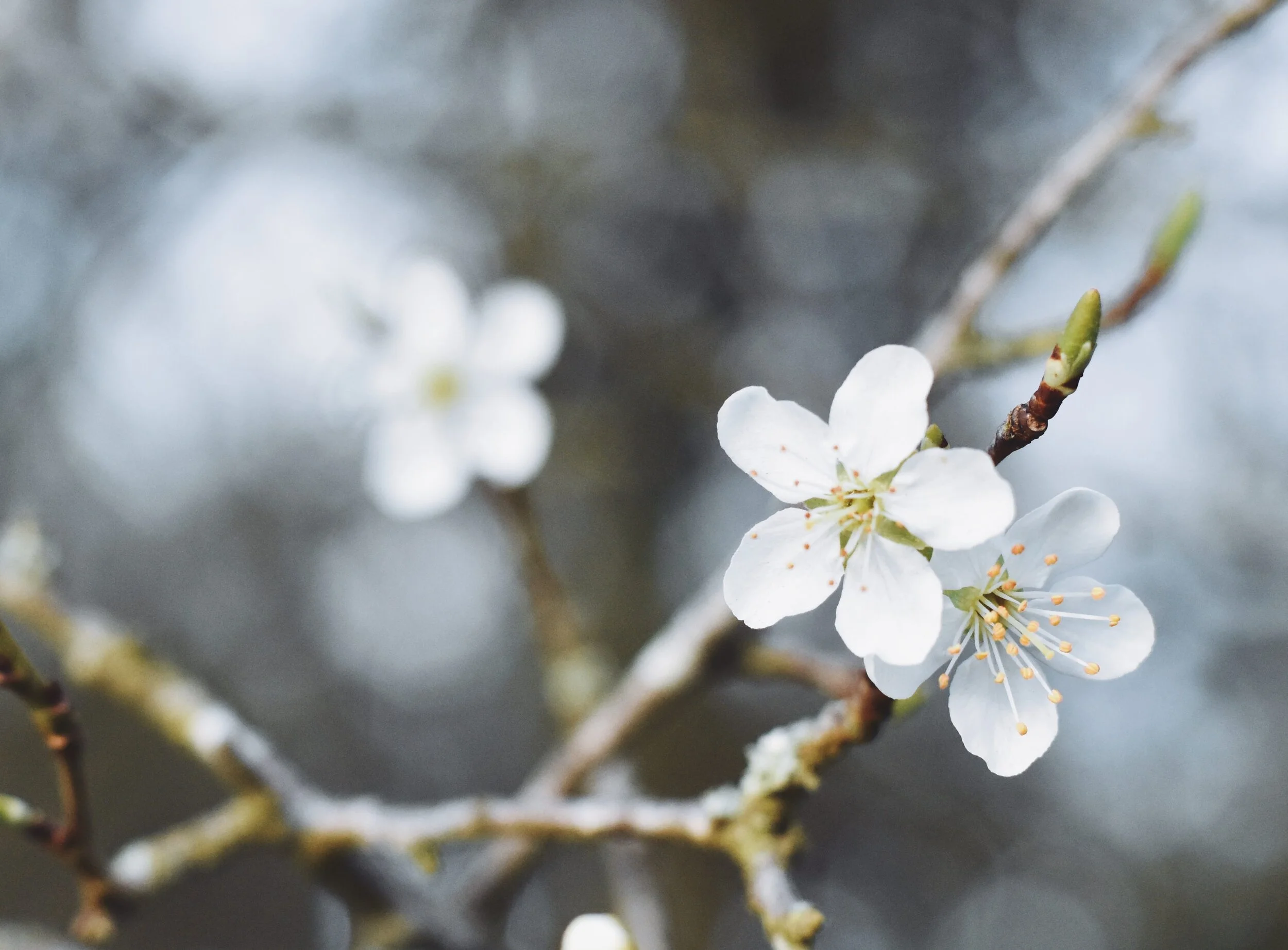 Supporting your wellbeing in winter...