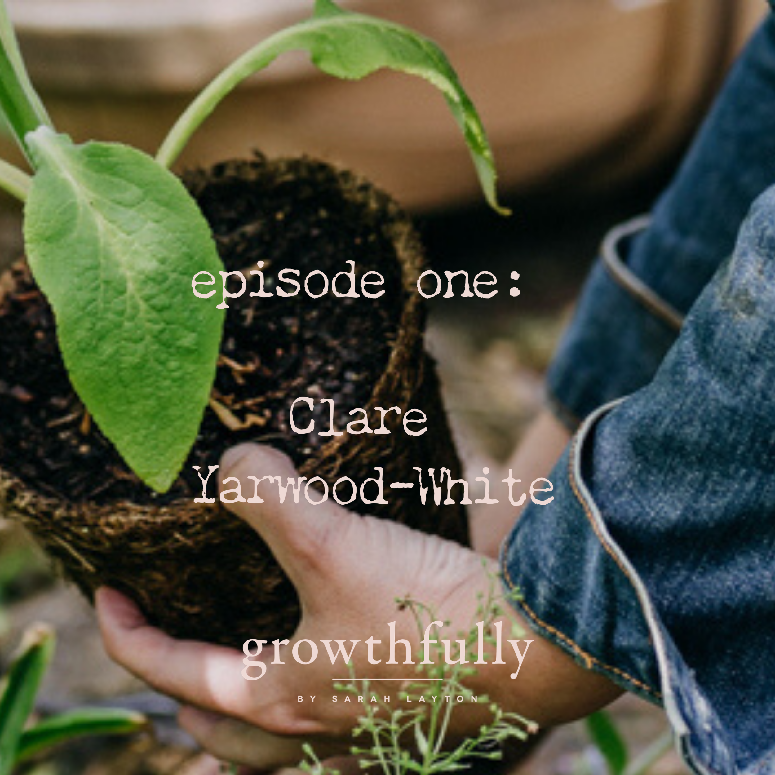 Clare Yarwood-White, Opal and Co
