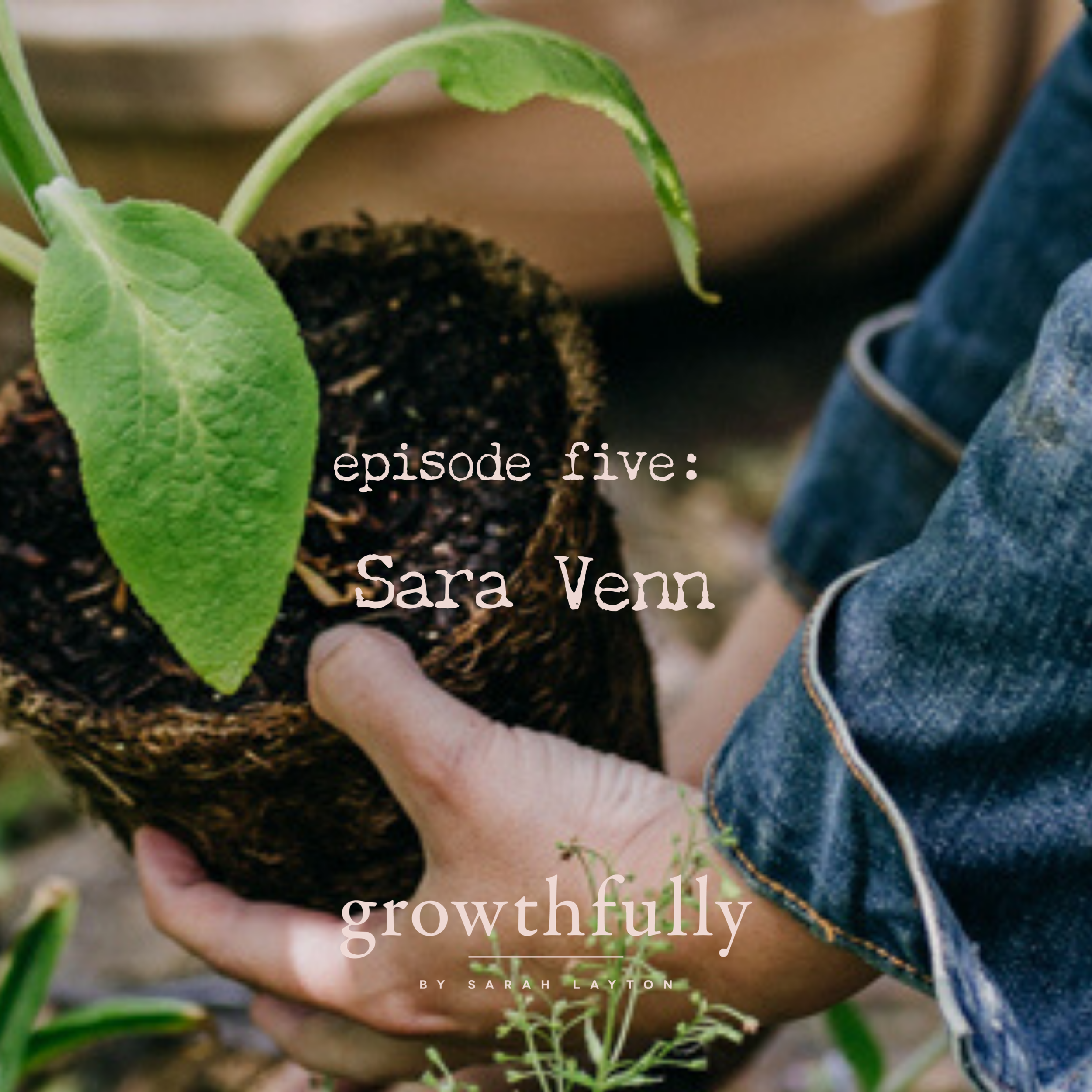 Sara Venn, Edible Bristol