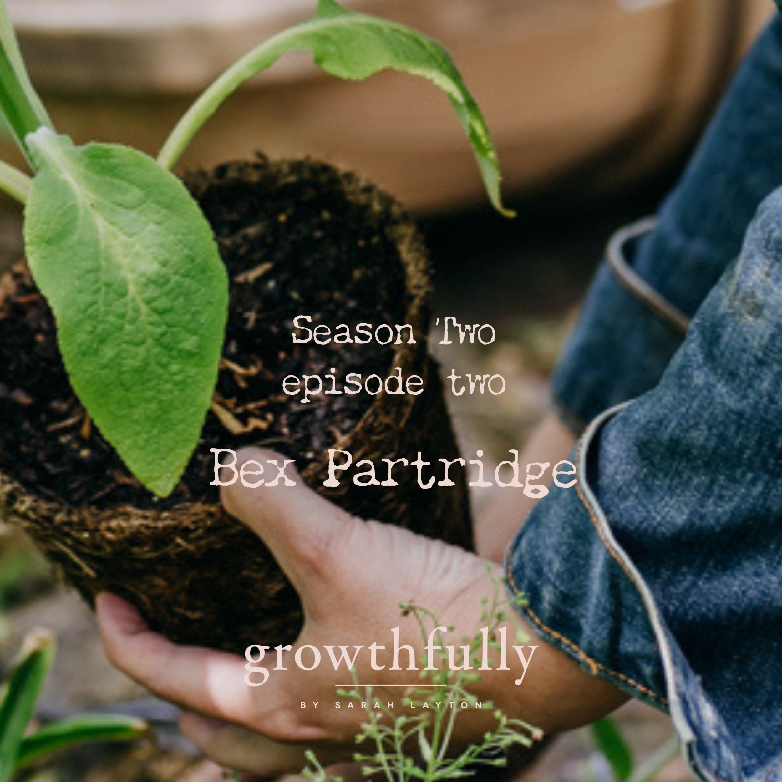 Bex Partridge, Author of Everlastings