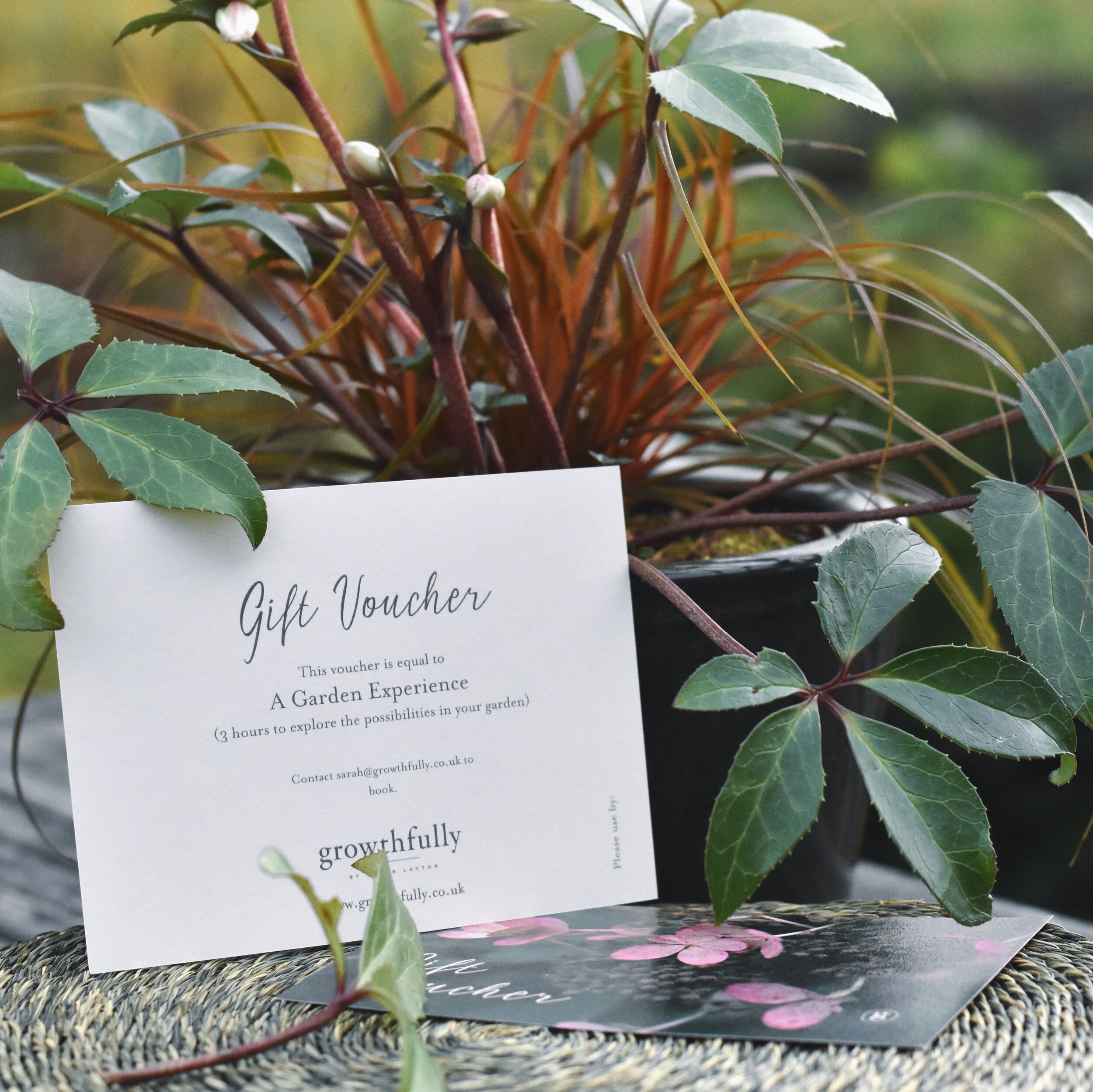 The Garden Experience - Gift Voucher (sent to you or direct to recipient)