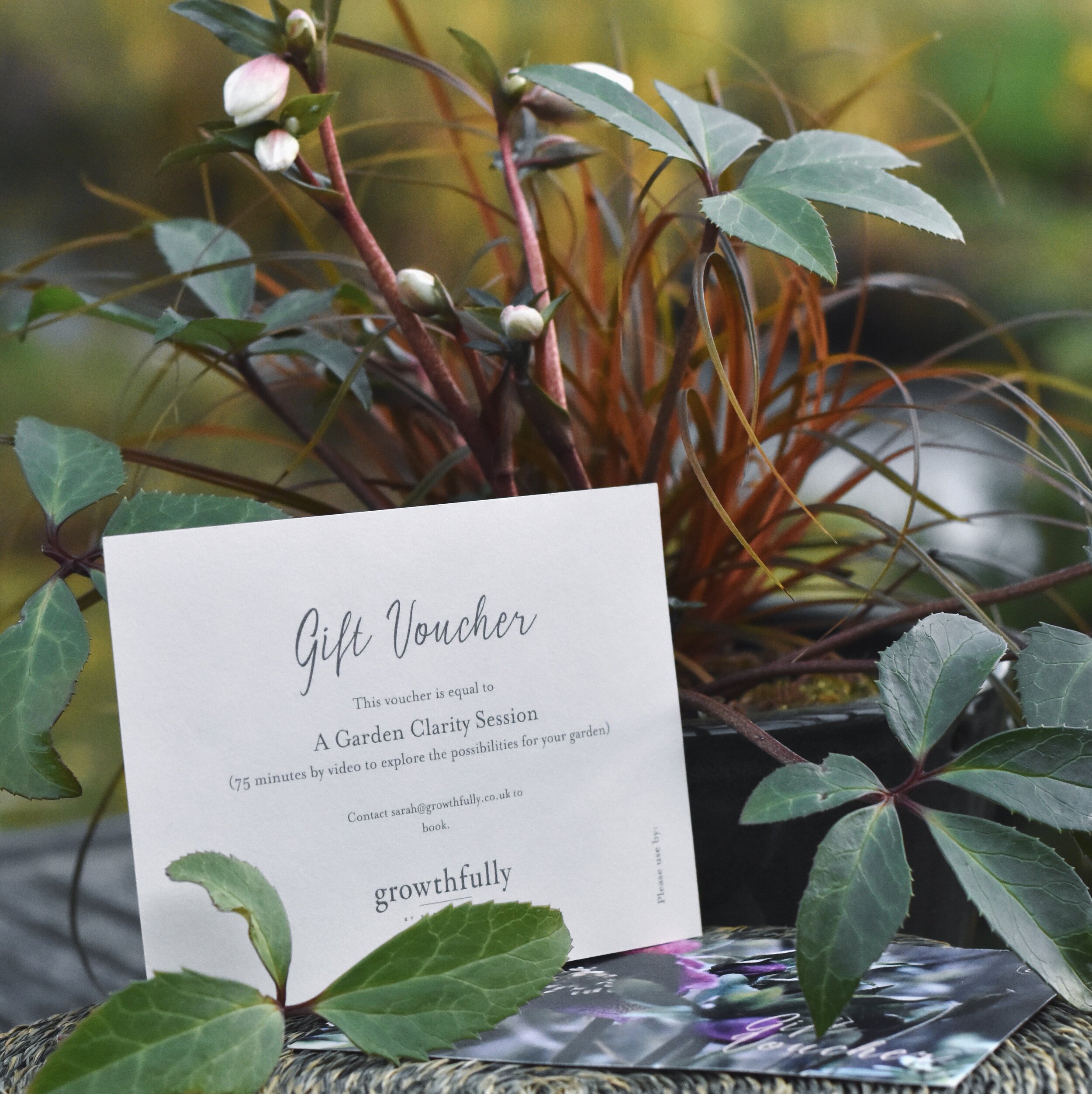 Garden Clarity Call - Gift Voucher (sent to you or direct to the recipient)