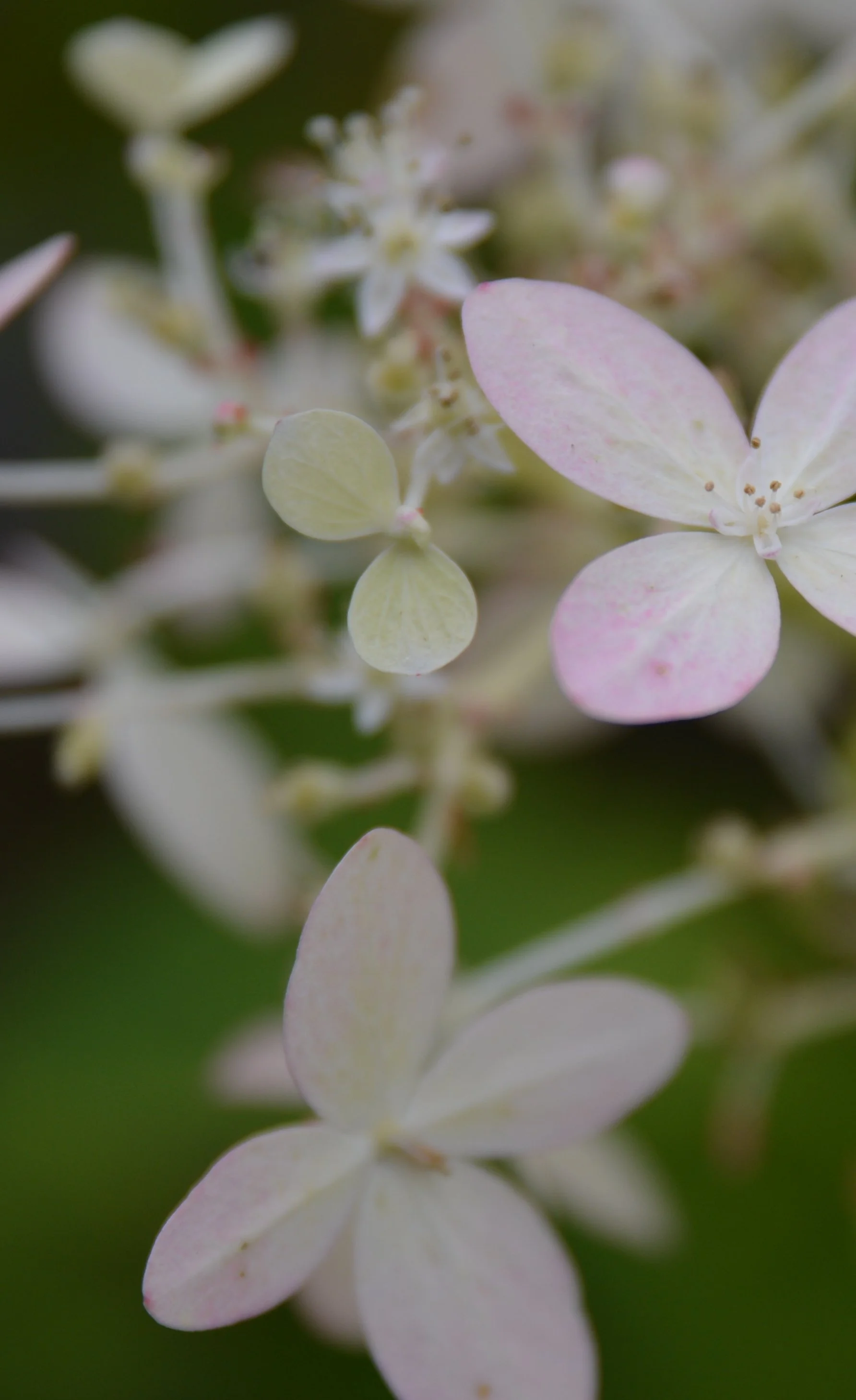 On the Murder of Sarah Everard