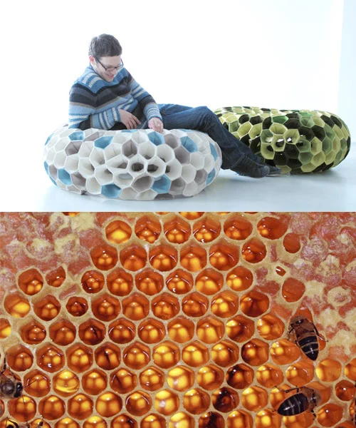biomimicry.jpeg