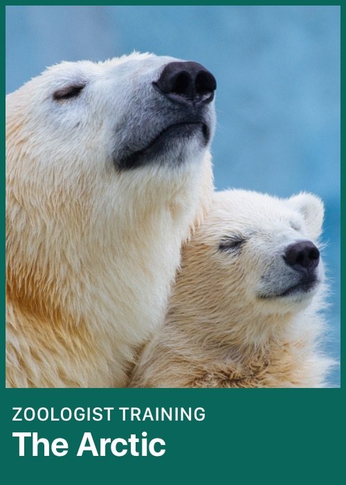 rainforest-zoologist-training-l2.jpg