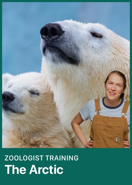 rainforest-zoologist-training-l2-6-10.jpg