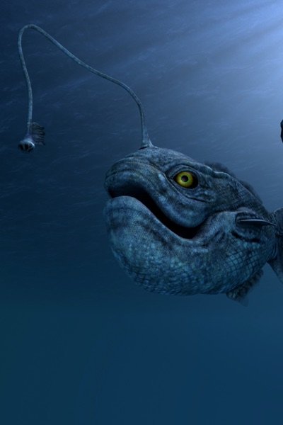 13 Best Ocean Facts, Trivia, and Videos for Kids | Tappity 13 Best Ocean Facts, Trivia, and Videos for Kids | Tappity