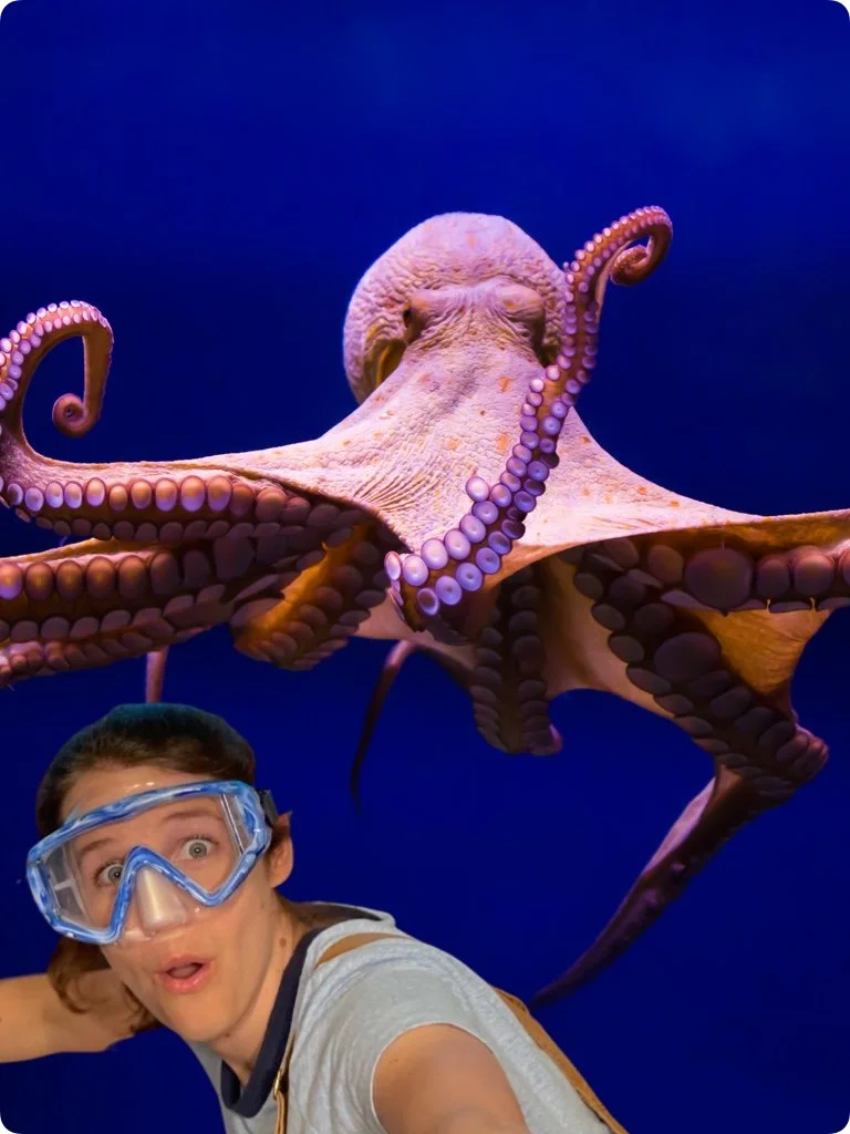 How Does An Octopus Change Colors? [VIDEO] Science Explanations for Kids