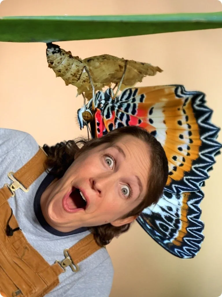 How Does a Caterpillar Turn into a Butterfly? [VIDEO] Science Explanations for Kids