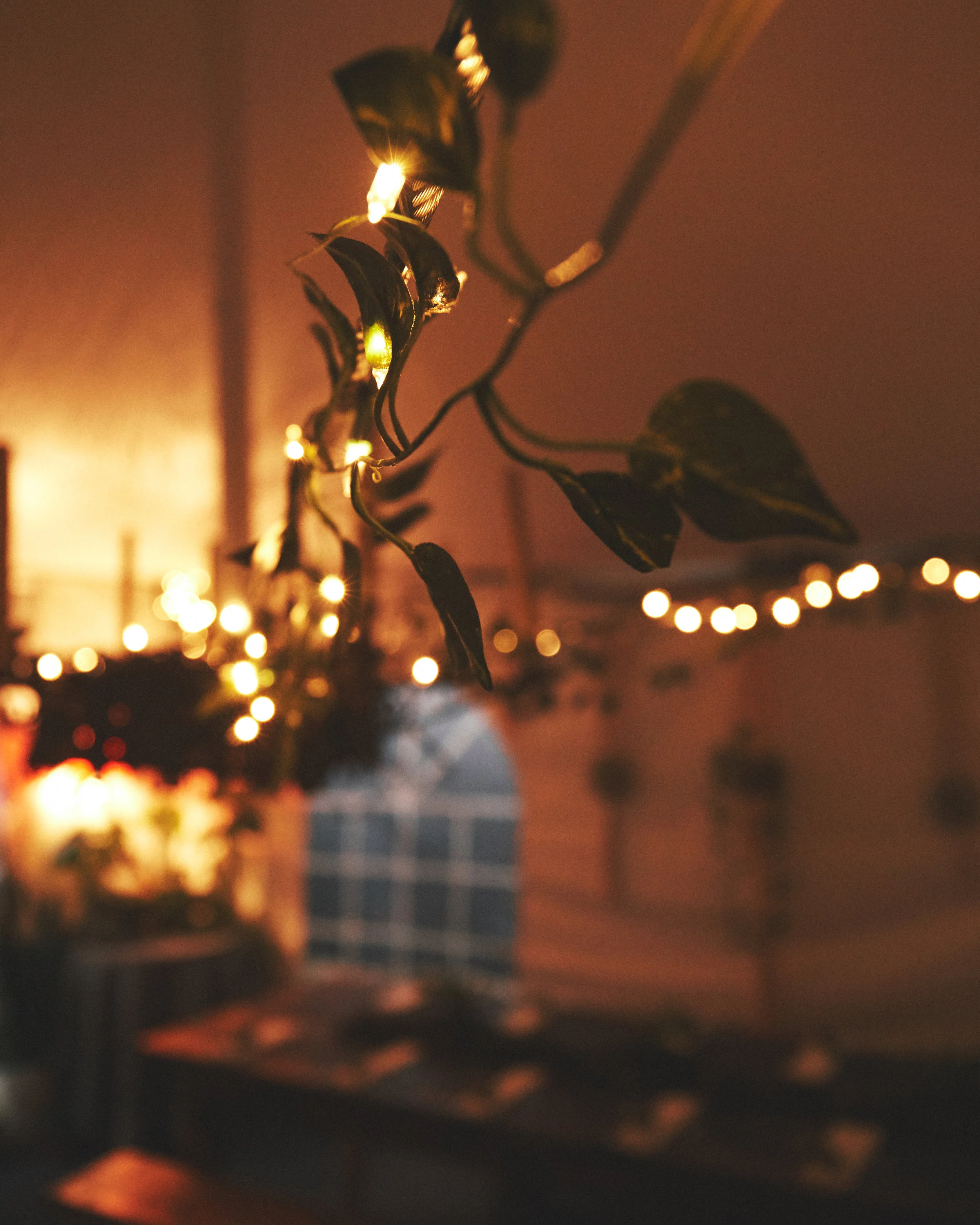 032419_WormMoonDinner_Set up_0025 1.jpg