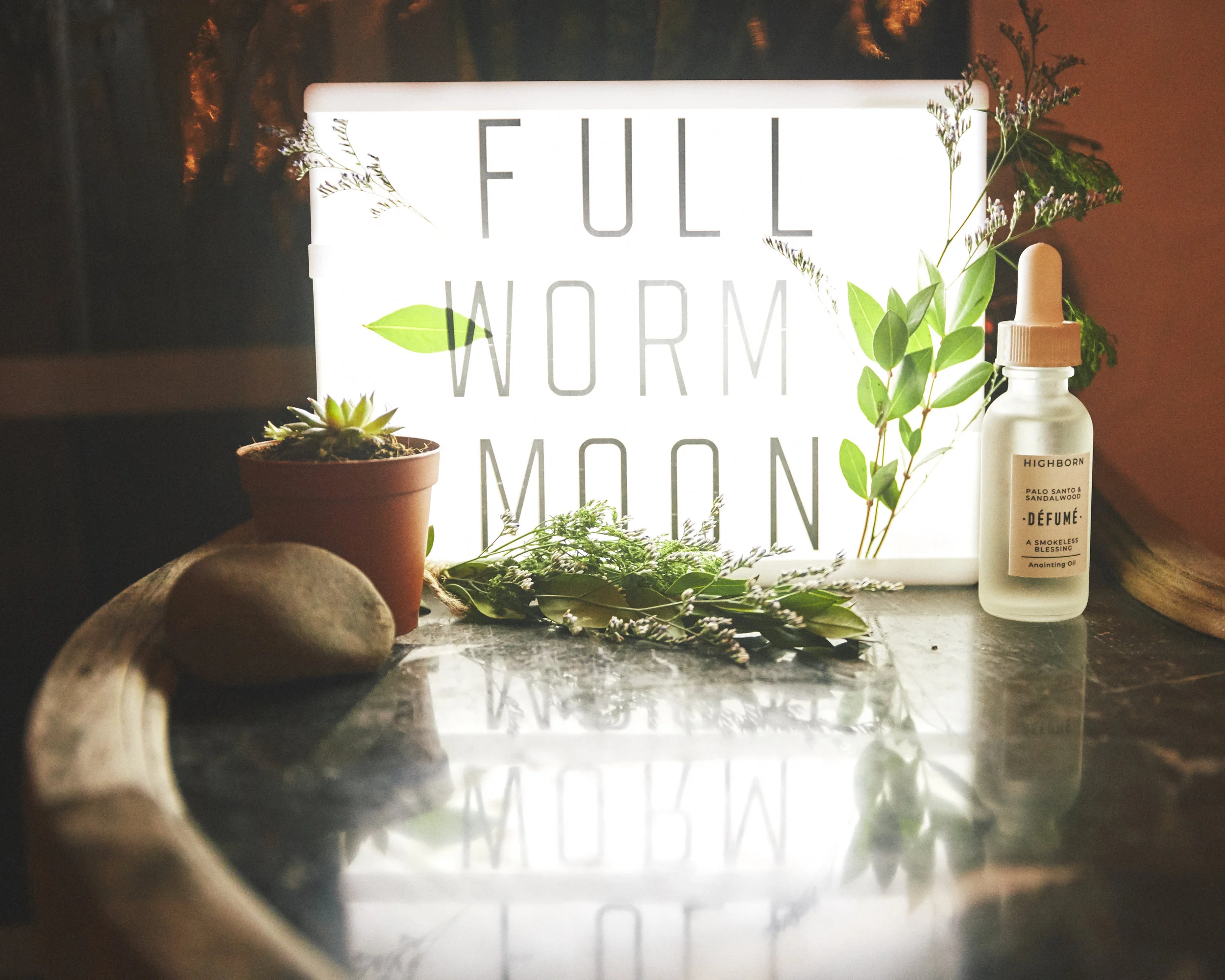 032419_WormMoonDinner_Set up_0054.jpg