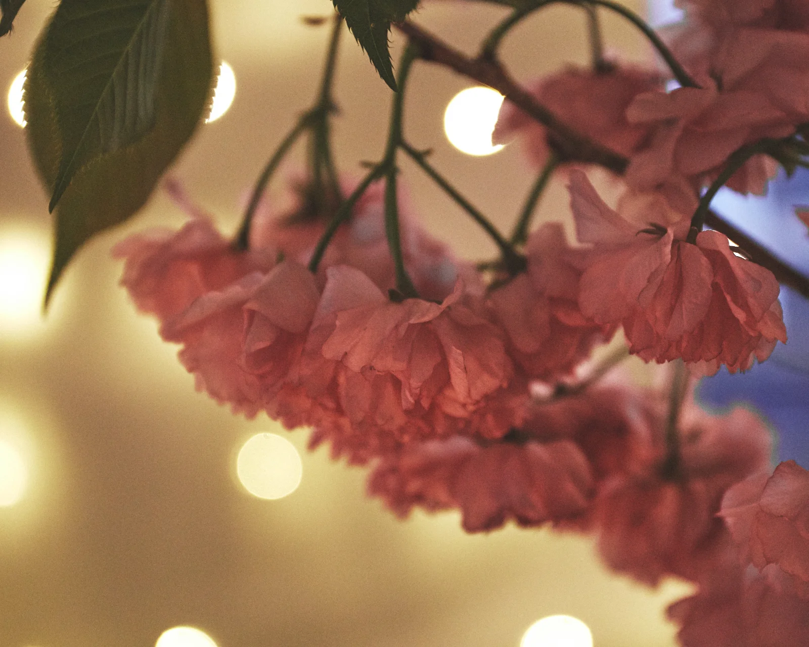 042419_PinkMoonDinner_Setup_0073.jpg
