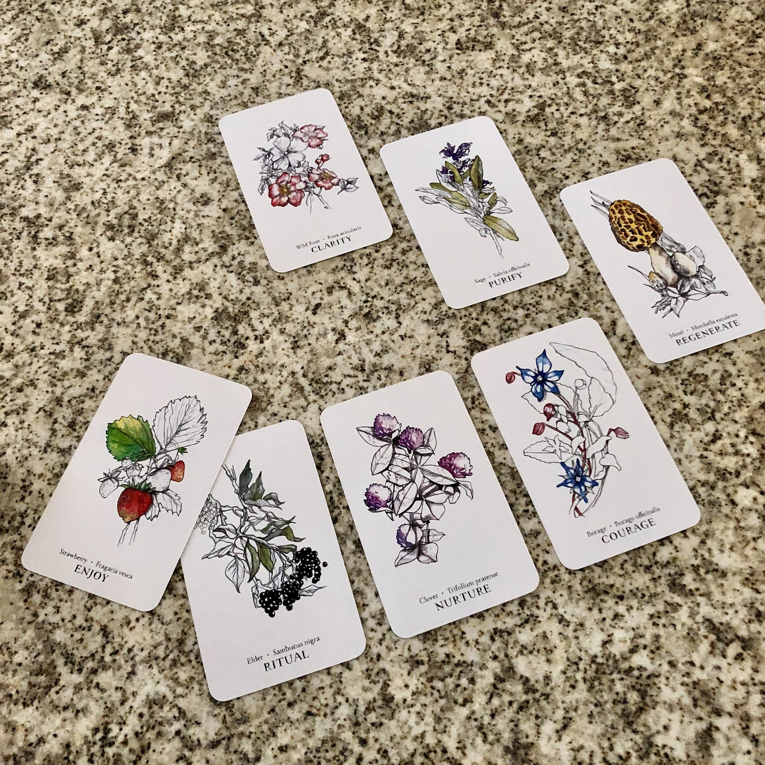 Botanical Oracle Botanical Oracle