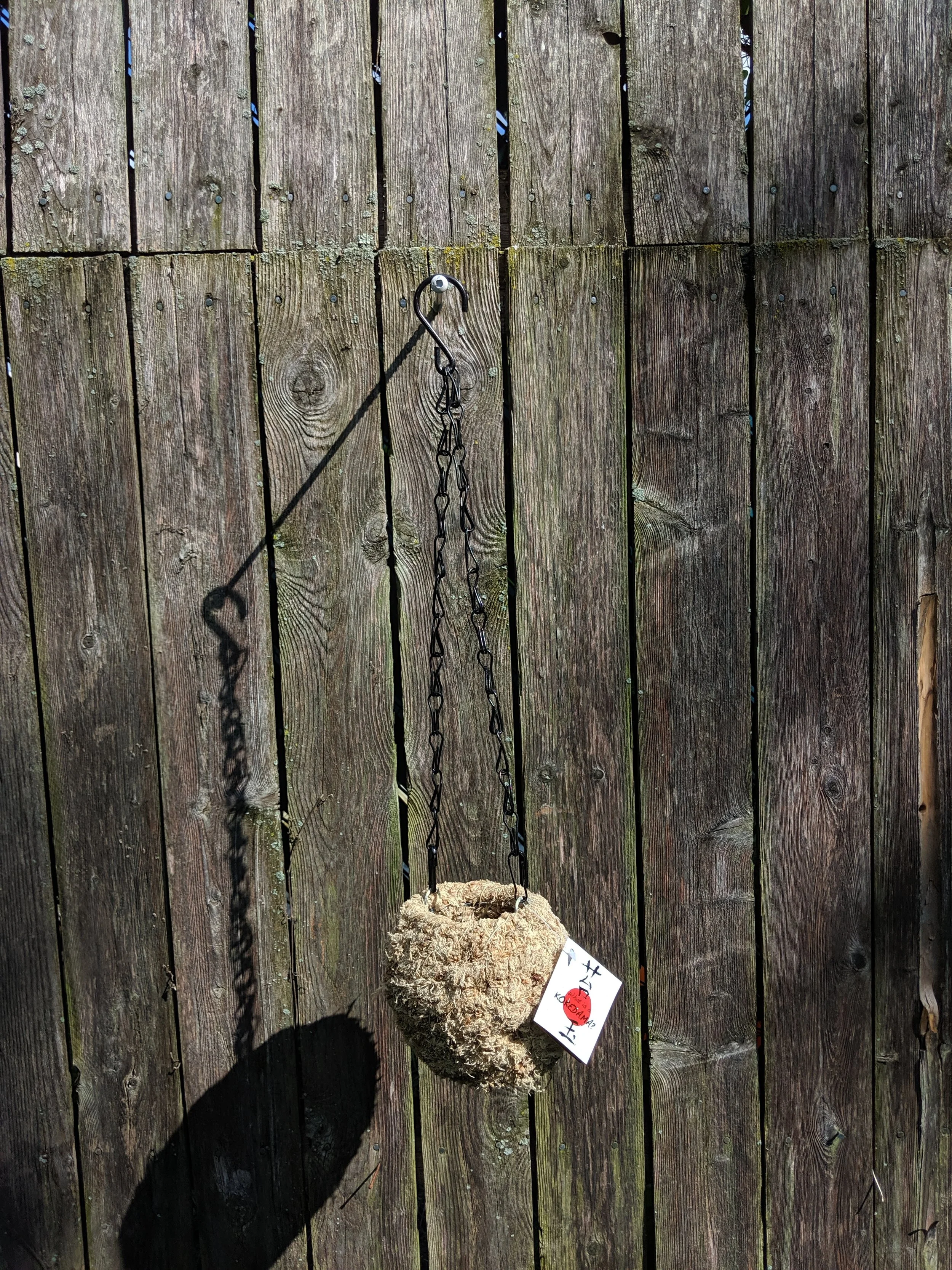 Small Kokedama Hanger